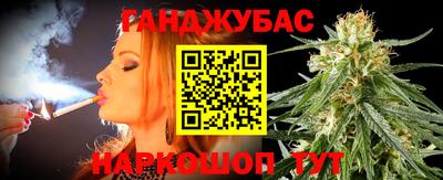 индика Лесосибирск