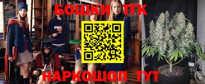 индика Лесосибирск
