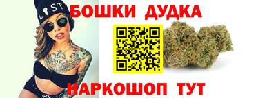 индика Лесосибирск