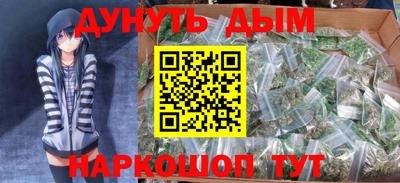 индика Лесосибирск