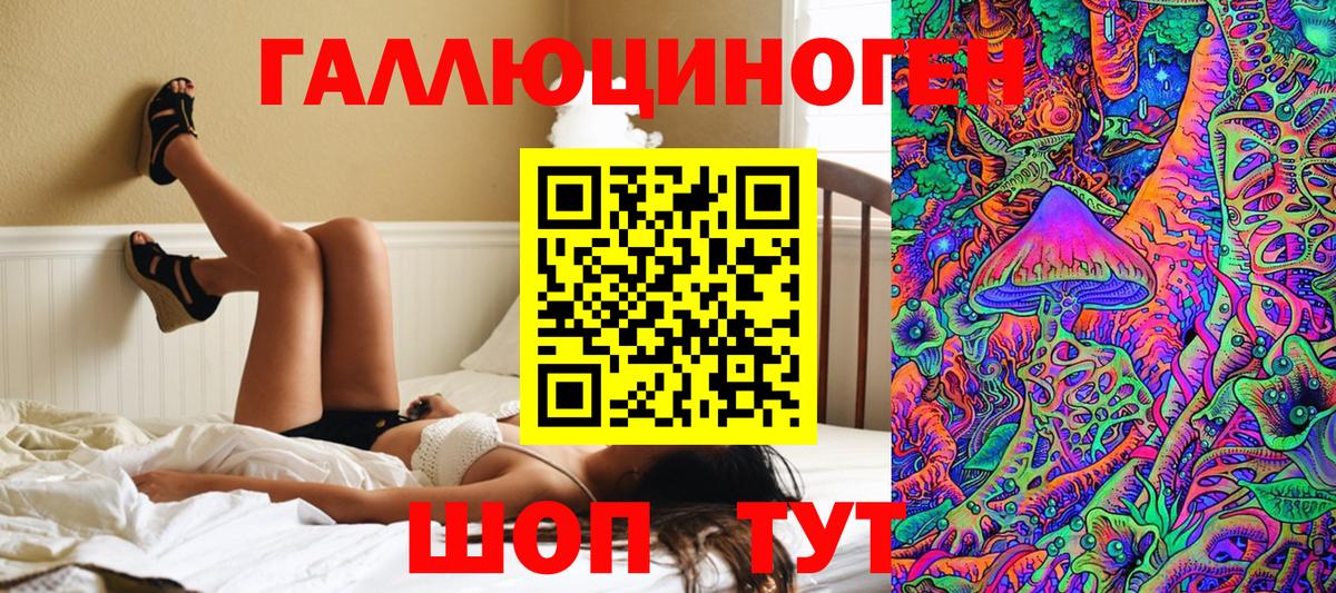 Псилоцибиновые грибы Psilocybe Сосновоборск